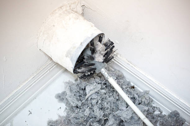 Best Dryer Vent Cleaning Services  in Norfolk, NE